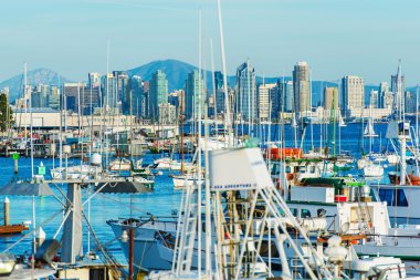 San Diego Körfezi California