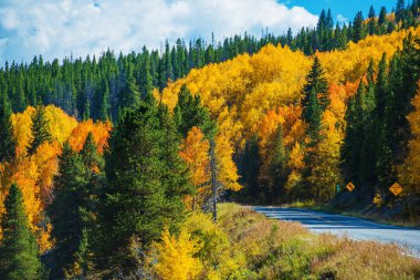 Scenic Fall Colorado Road clipart