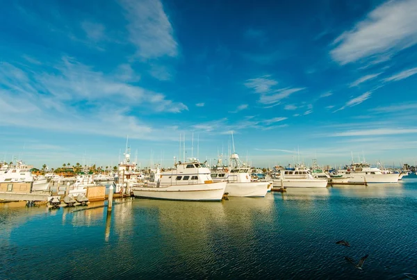 San Diego Marina — Zdjęcie stockowe