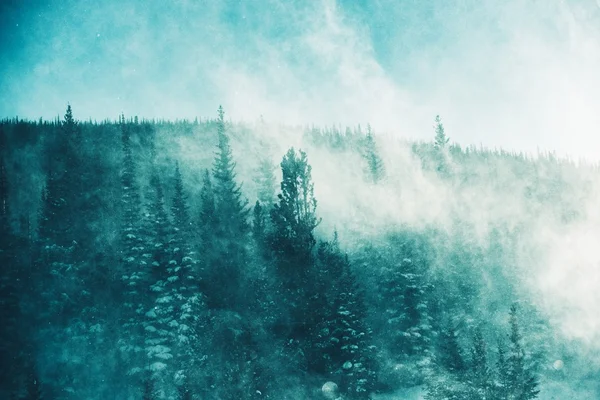 La tormenta de invierno —  Fotos de Stock