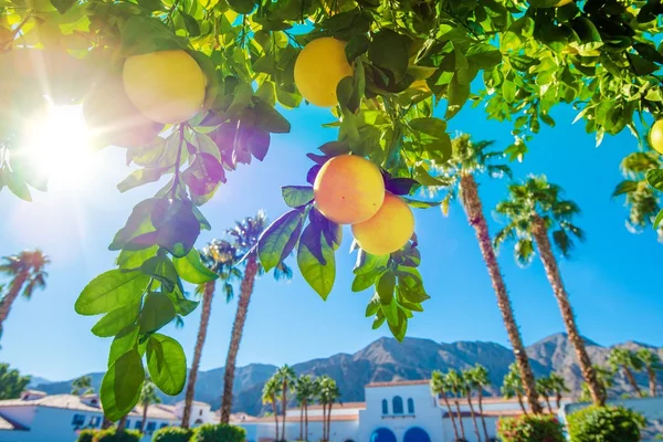 Welcome in California — Stock Photo, Image