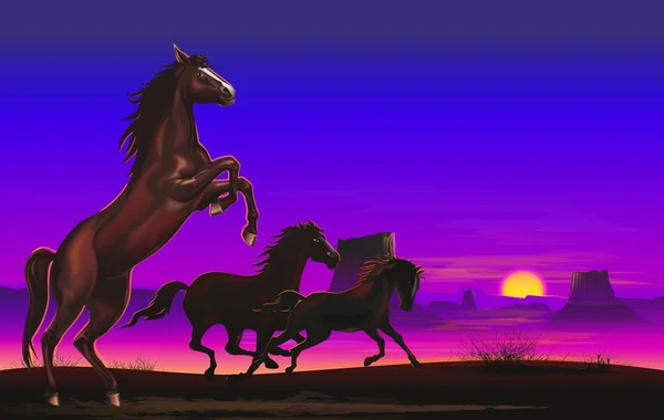 大草原の野生の馬 — ストック写真