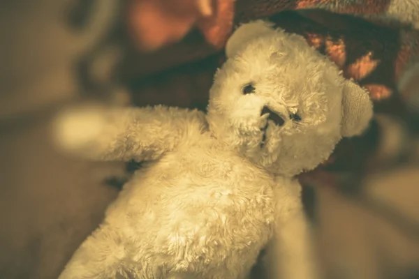 Vintage Teddy Bear — Stockfoto