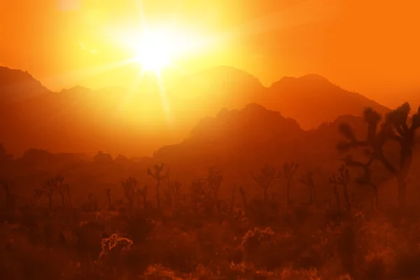 Kalifornské poušti teplo — Stock fotografie