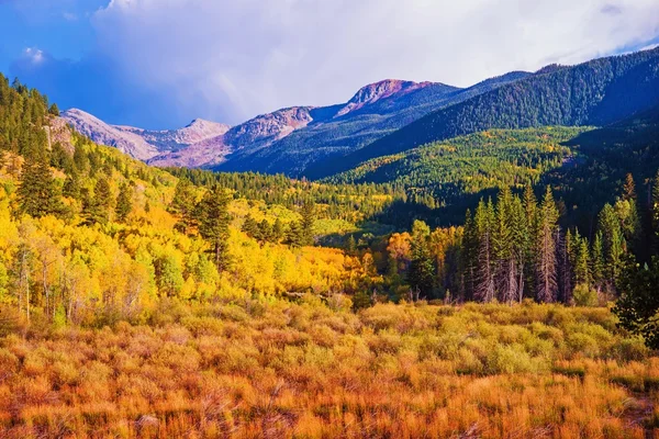 Natursköna Aspen Lanscape — Stockfoto