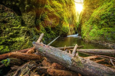 Columbia River Gorge