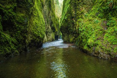 Oregon'da Oneonta Gorge