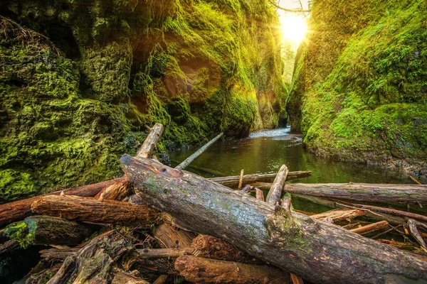 Columbia River Gorge — Stock Photo, Image