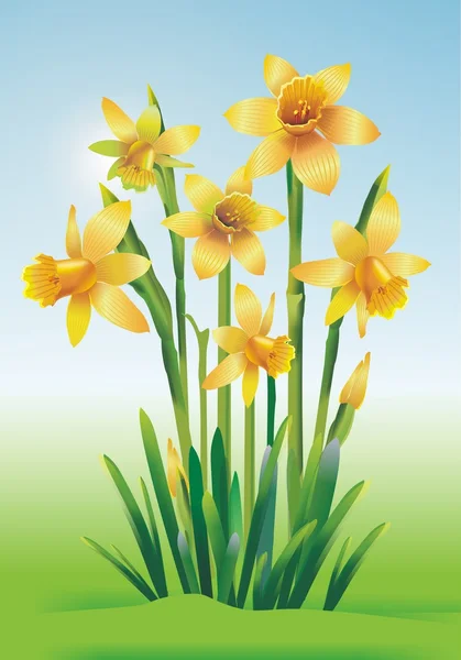 Jonquils ilustração de arte — Fotografia de Stock