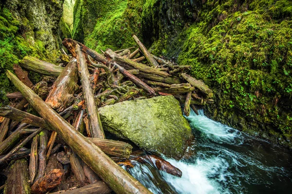 Barragem de troncos naturais — Fotografia de Stock