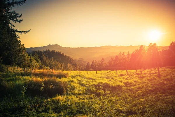 Campo del Norte de California — Foto de Stock