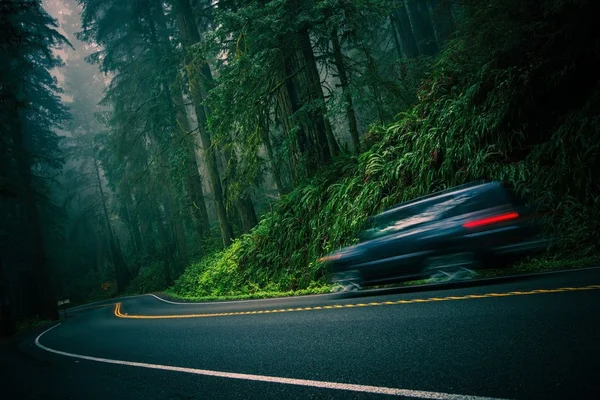 Redwood Highway — Stock Photo, Image
