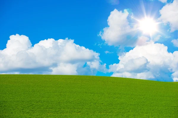 Солнечное летнее поле — стоковое фото