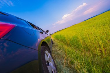 kırsal yol sürücü