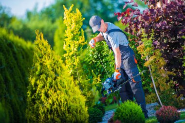 hedge düzeltici kadar ateş
