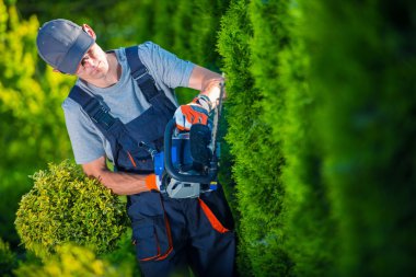 Hedge Trimmer Works clipart