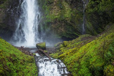 doğal multnomah falls