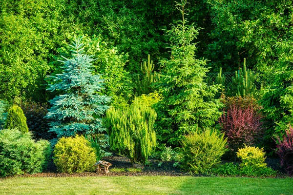 Giardino sul retro — Foto Stock