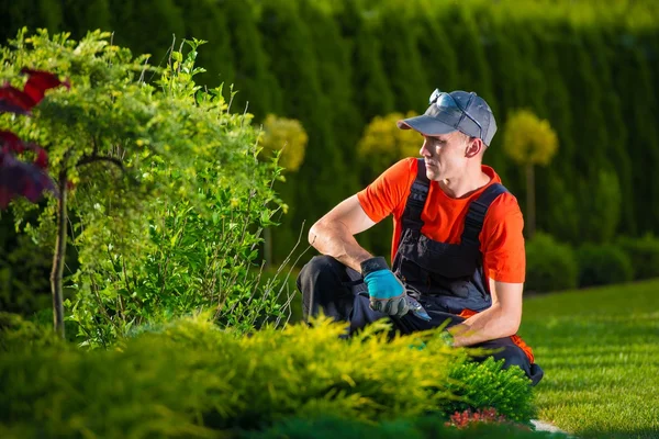 Kreativer Gartengestalter — Stockfoto