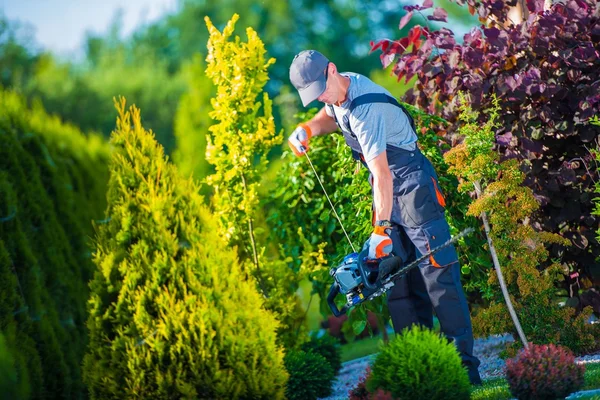 Firing Up Hedge Trimmer — Stock Photo, Image