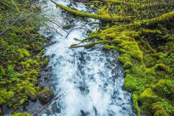 Oregon berg rivier — Stockfoto