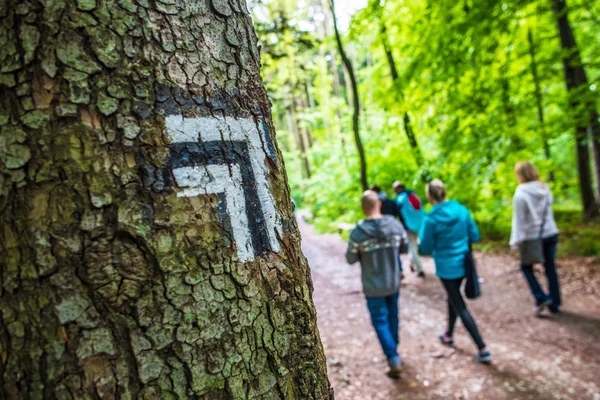 People on the Forest Trail — Stock Photo, Image