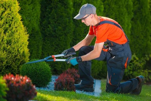 Jardinier professionnel au travail — Photo