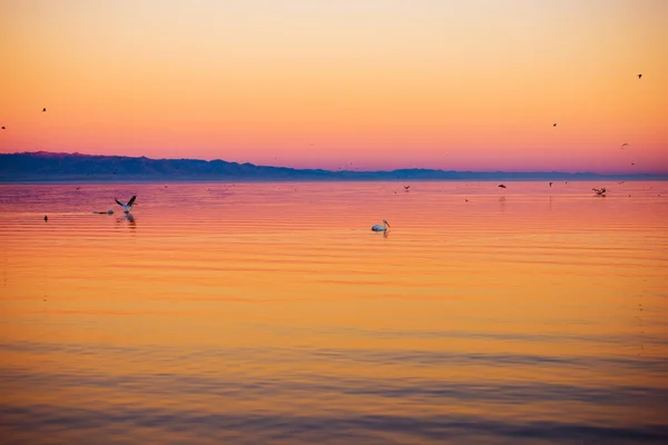 Salton sea Kilátás-on sunset — Stock Fotó