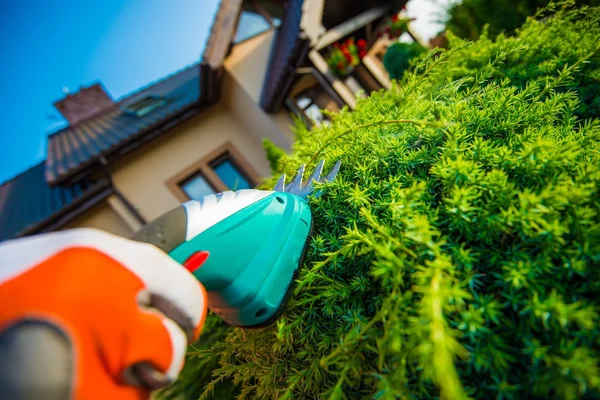 Zomer planten trimmen — Stockfoto