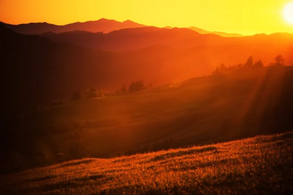 Sommer-Sonnenuntergangslandschaft — Stockfoto