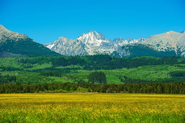 Tatragebirge — Stockfoto