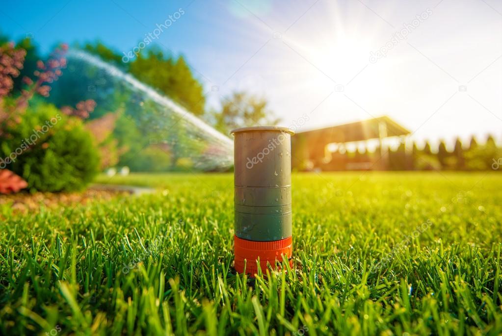 Lawn Sprinkler in Action