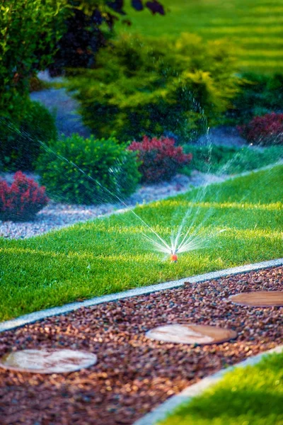 Backyard Garden Watering — Stock Photo, Image