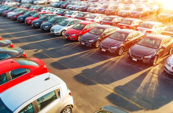 Revendedor carros novos estoque — Fotografia de Stock