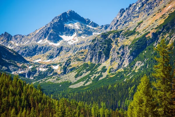 Alti Tatra in Slovacchia — Foto Stock