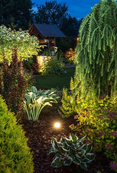 Beleuchteter Garten in der Nacht — Stockfoto