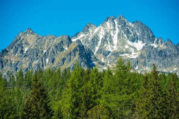 斯洛伐克 tatra 山脉 — 图库照片