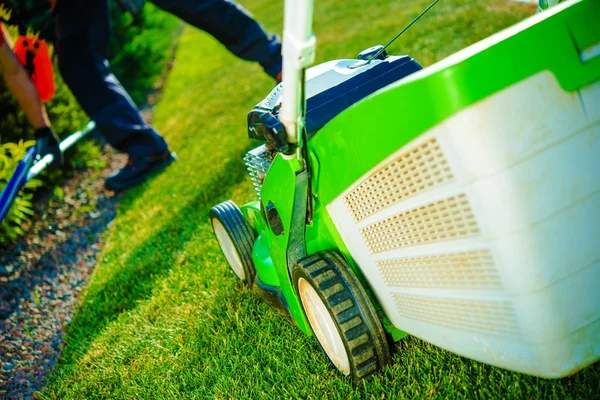 Summer Lawn Mowing — Stock Photo, Image