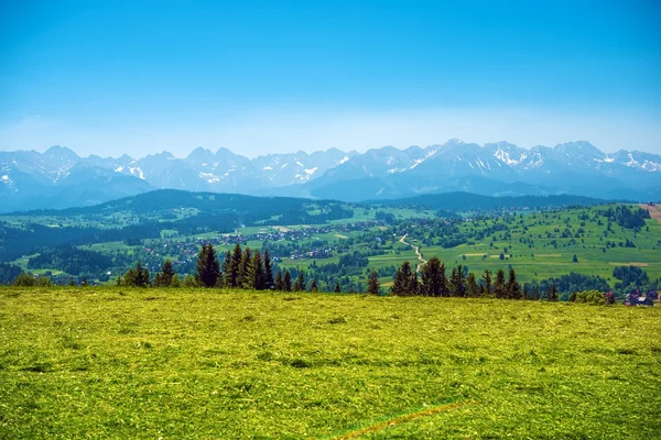 Πανόραμα Tatry — Φωτογραφία Αρχείου