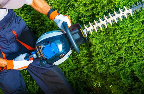 Trimming Time — Stock Photo, Image