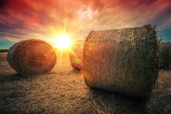 Gün batımında baled saman rulo — Stok fotoğraf