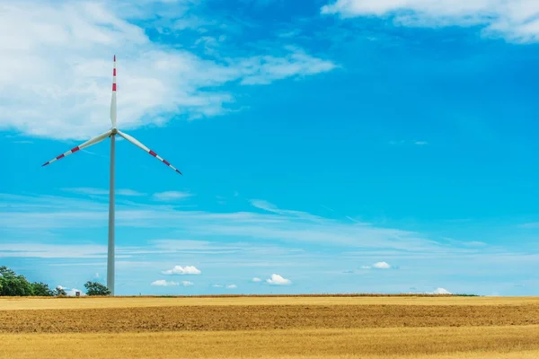 Turbina eólica de campo —  Fotos de Stock