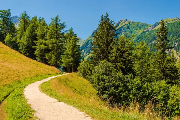 Zwitserse bergen Trail — Stockfoto