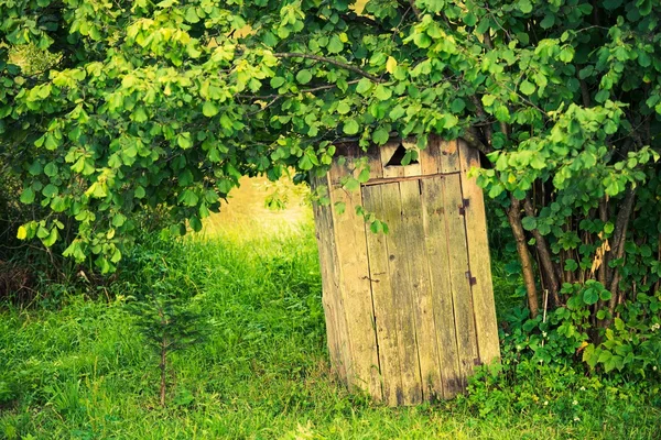 Деревянный туалет — стоковое фото
