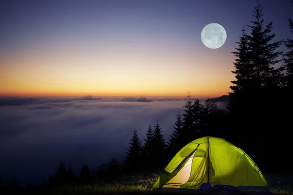 Tält Camping i en skog — Stockfoto