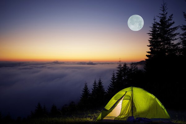 Tent Camping in a Forest