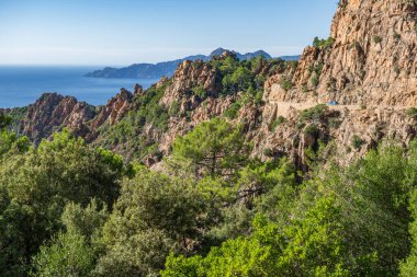 A winding Corsica road cuts through rugged mountains and dense greenery, leading to the vast blue sea. This stunning view captures nature's beauty on a clear day.