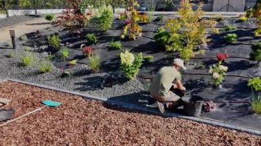 Bir adam çiçek diker ve bahçeyi bahçeye yerleştirir. Bitkilerin yakınında taşlar, toprak ve saman vardır..