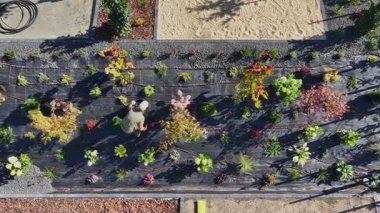 İşçiler gündüz saatlerinde halka açık bir alanda bulunan bahçeye çeşitli çiçekler ekerler..