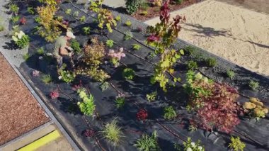 İnsanlar gün boyunca bahçeye çeşitli çiçek ve bitkiler ekiyorlar. Ayarlar düzenli ve parlak..